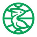 dainichi